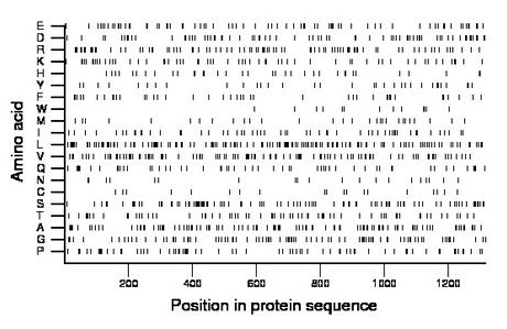 amino acid map