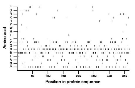 amino acid map