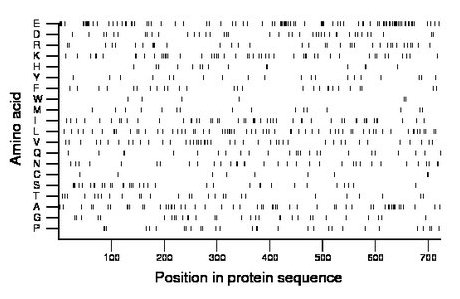 amino acid map