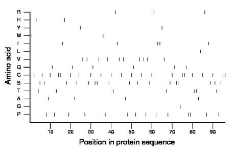 amino acid map