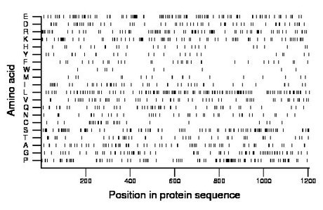 amino acid map