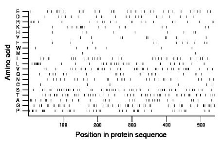 amino acid map