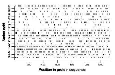 amino acid map