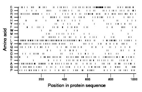 amino acid map