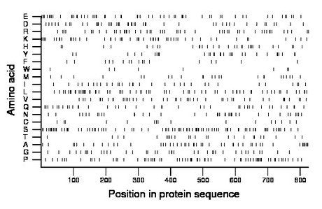 amino acid map