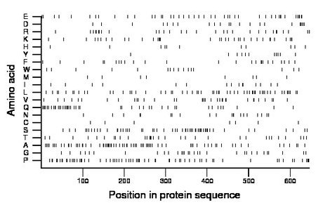 amino acid map