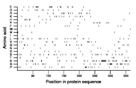 amino acid map