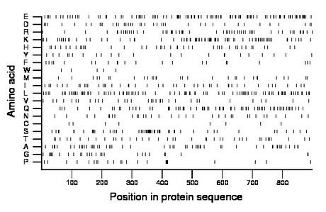 amino acid map