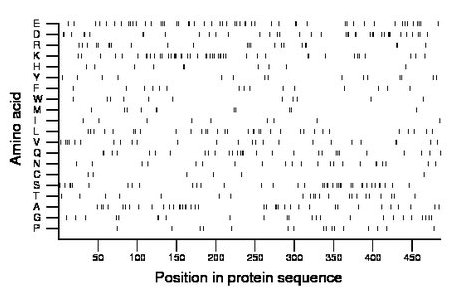 amino acid map