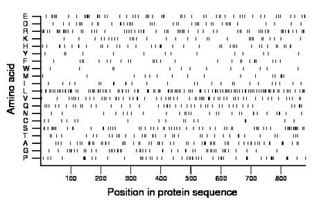 amino acid map