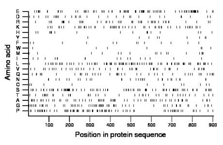 amino acid map