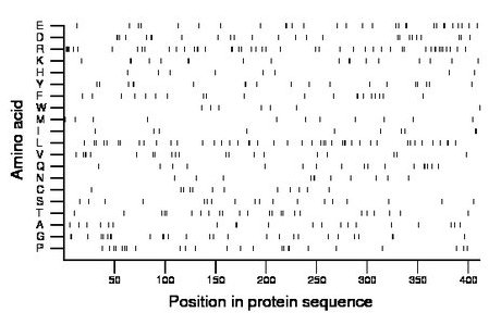 amino acid map