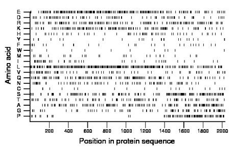 amino acid map