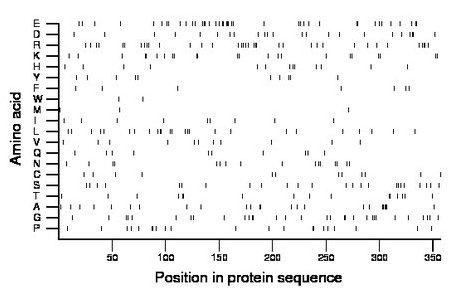 amino acid map