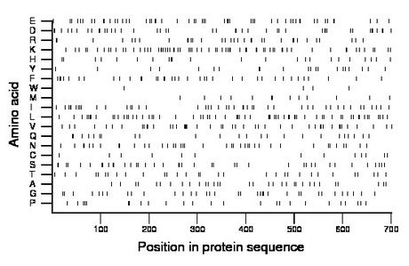 amino acid map