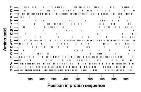 amino acid map