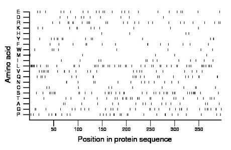 amino acid map