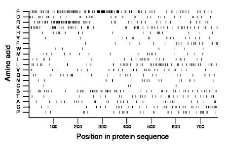 amino acid map