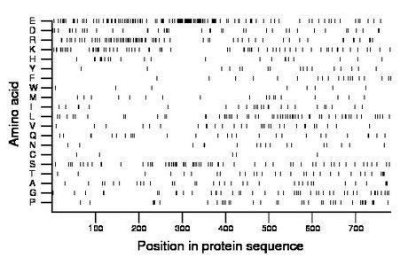 amino acid map