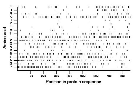 amino acid map