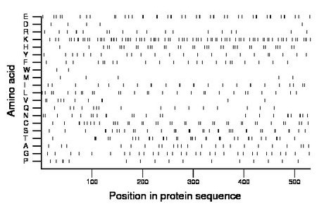 amino acid map