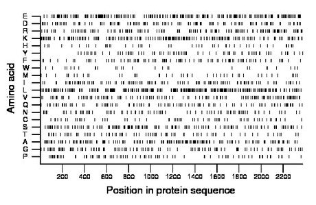 amino acid map