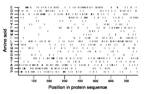 amino acid map