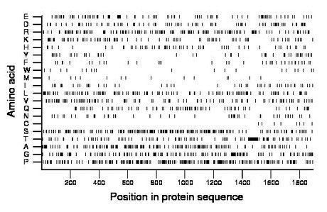 amino acid map