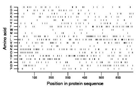 amino acid map