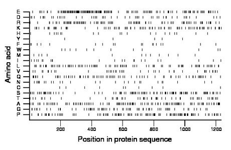 amino acid map