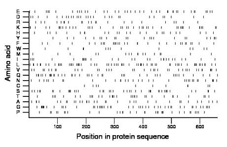 amino acid map