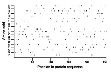 amino acid map