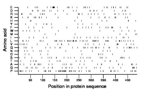 amino acid map