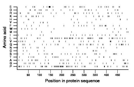 amino acid map