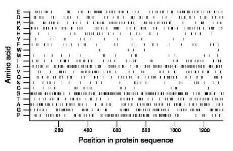 amino acid map