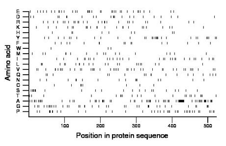 amino acid map