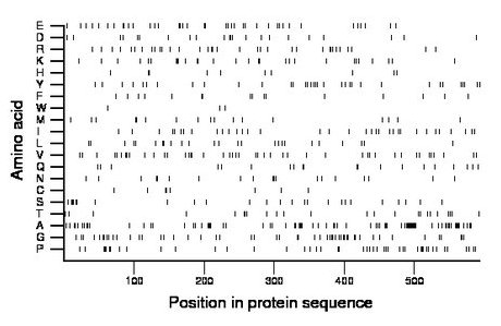 amino acid map