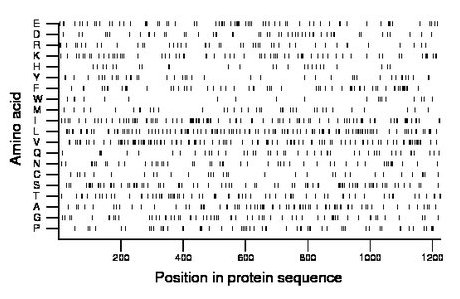 amino acid map