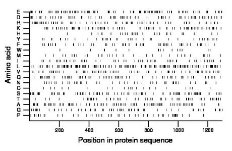 amino acid map