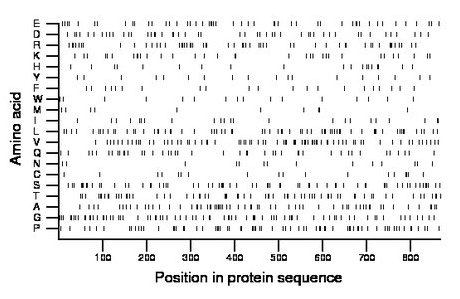 amino acid map