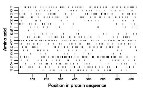 amino acid map