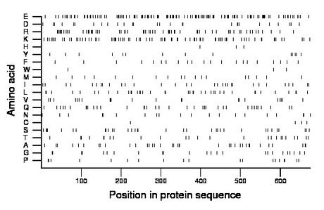 amino acid map