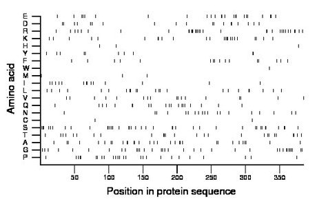 amino acid map