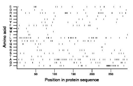 amino acid map