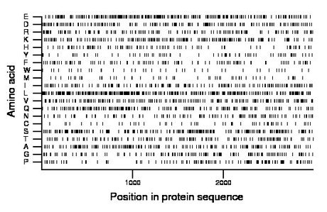 amino acid map