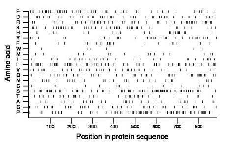 amino acid map