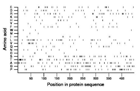 amino acid map