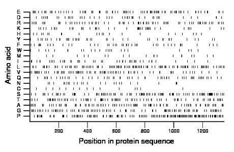 amino acid map