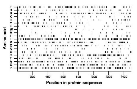 amino acid map