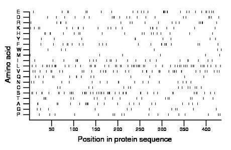 amino acid map